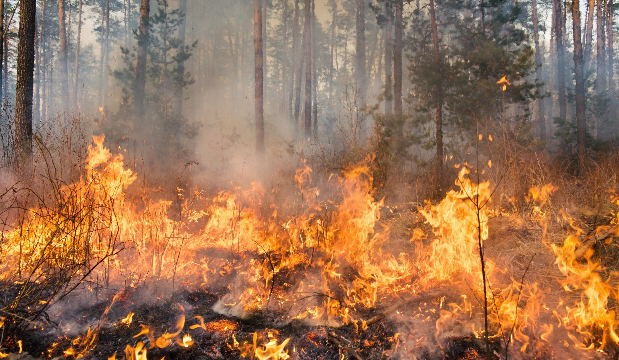 Incendio